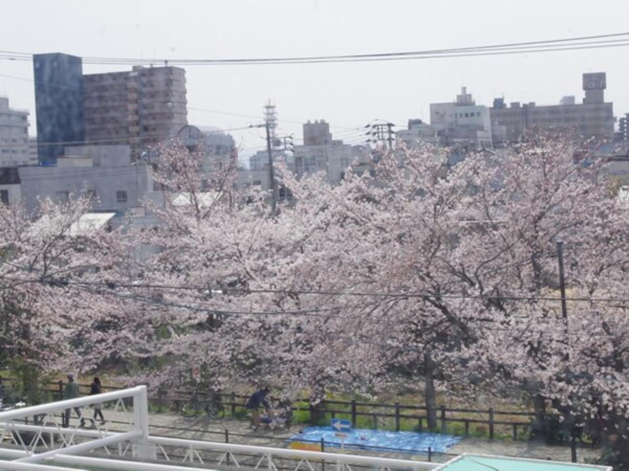 Tottori City Hotel / Vacation Stay 81355 Luaran gambar